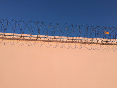 双螺旋刀刺网 - 安平县福嘉丝网制品有限公司图片2