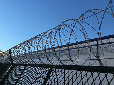 双螺旋刀刺网 - 安平县福嘉丝网制品有限公司图片6