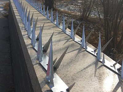 铁路防爬刺 - 安平县福嘉丝网制品有限公司图片11