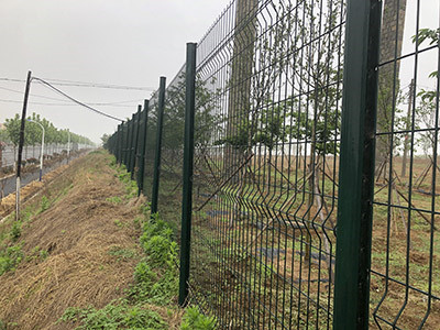 桃型柱围栏网 - 安平县福嘉丝网制品有限公司图片8